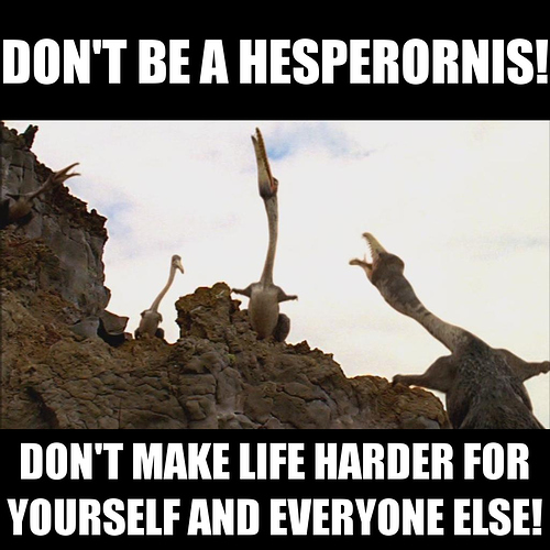 Hesperornis%20meme%202
