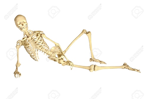 4763976-full-human-skeleton-reclined-isolation-on-white-background--Stock-Photo